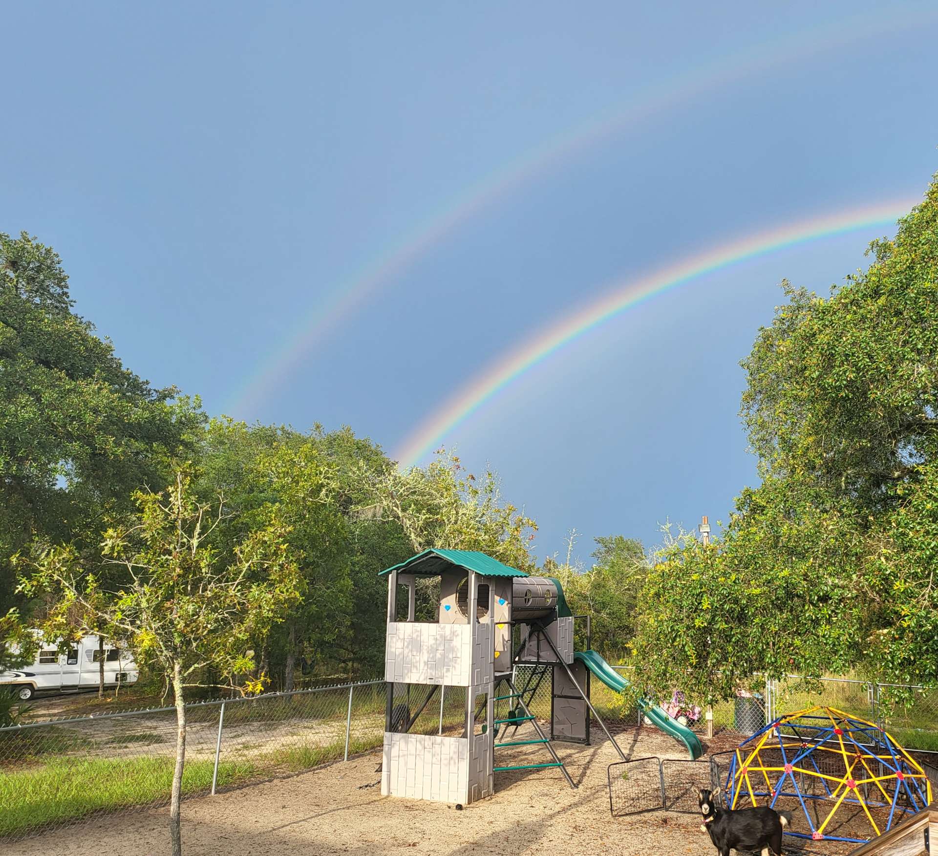 Happy Campers Rescue Ranch - Hipcamp in Dunnellon, Florida