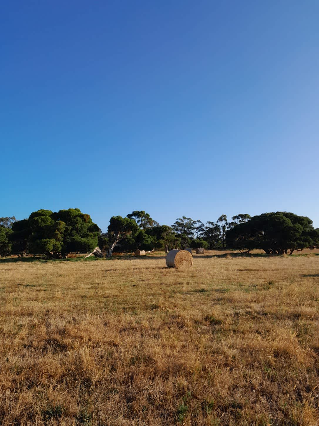 Fairfield Hipcamp in Torbay, Western Australia