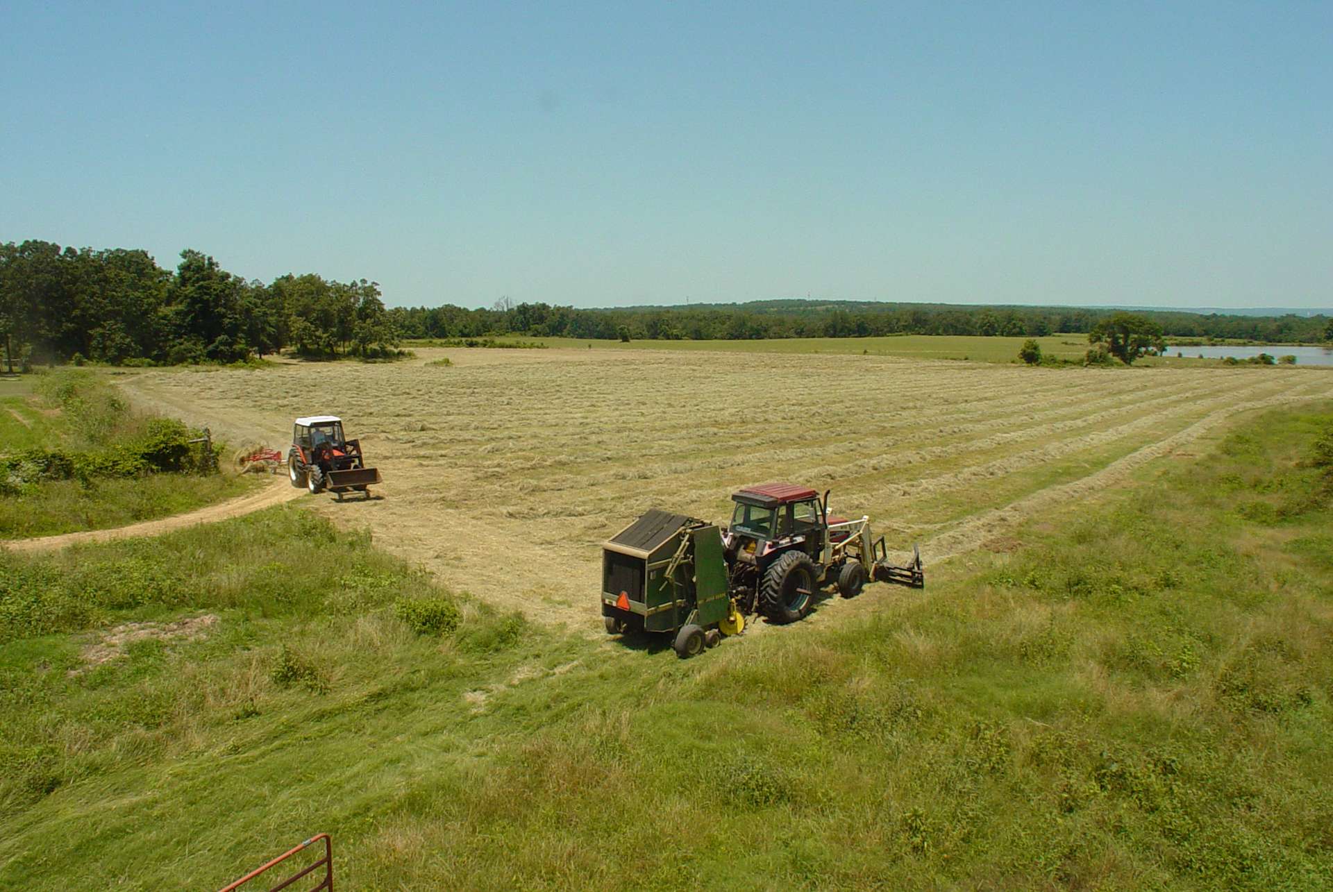 BJ Ranch - Hipcamp in Mc Rae, Arkansas