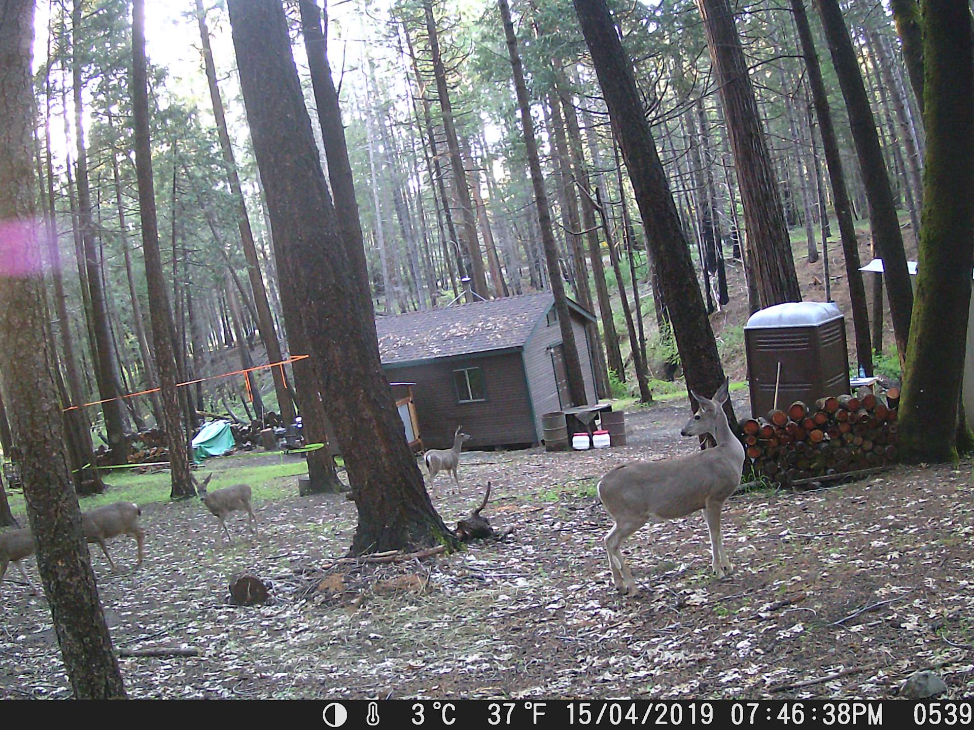 Cozy Cabin Hipcamp in Mokelumne Hill, California