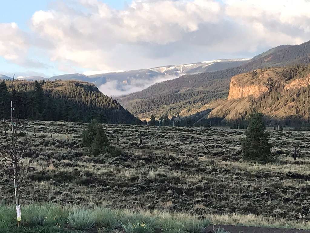 Miller Flats Hipcamp in Powderhorn, Colorado