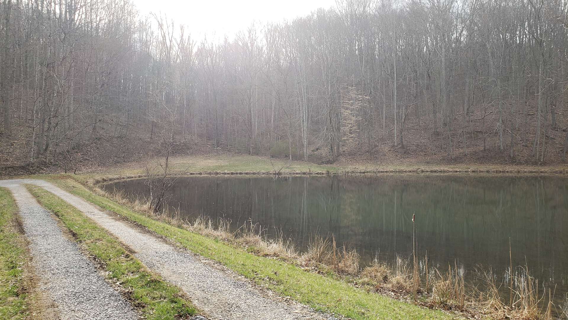 Goforth Mountain Homestead Hipcamp in Bluewell, West Virginia
