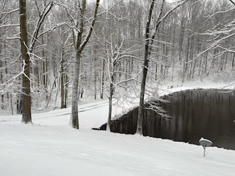 Goforth Mountain Homestead - Hipcamp in Bluewell, West Virginia