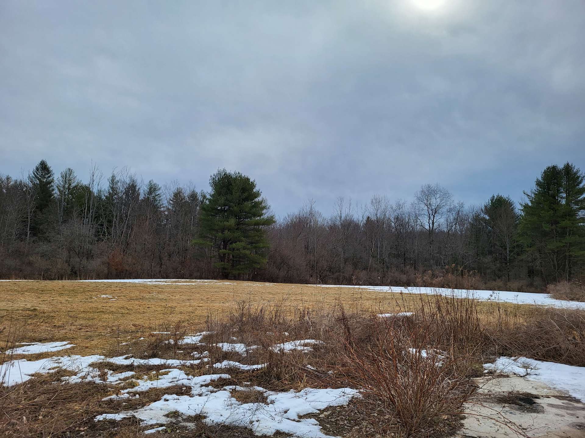 Bacon Brook Estate Hipcamp in Dolgeville, New York