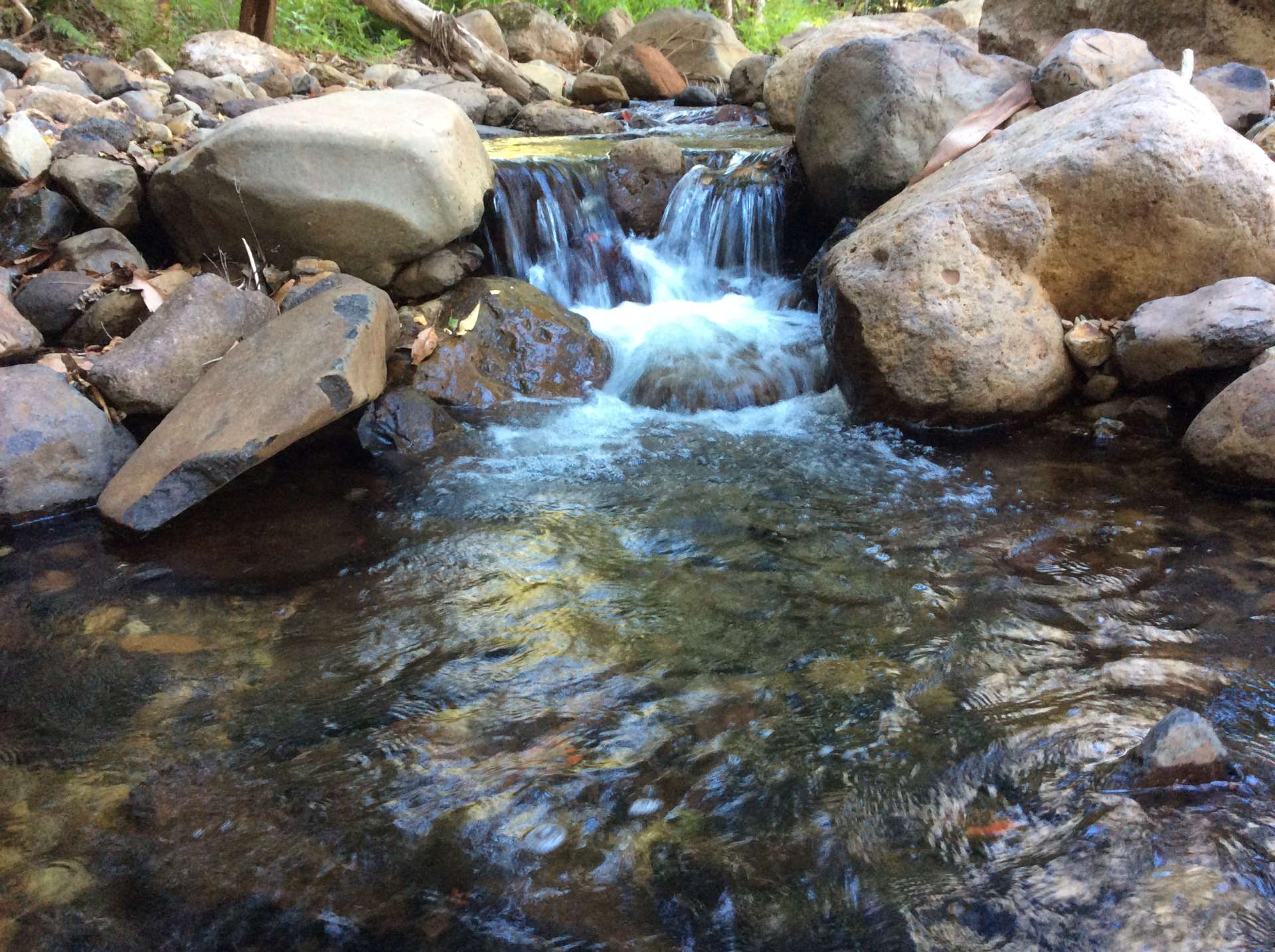 crystal-creek-ranch-hipcamp-in-upper-crystal-creek-new-south-wales