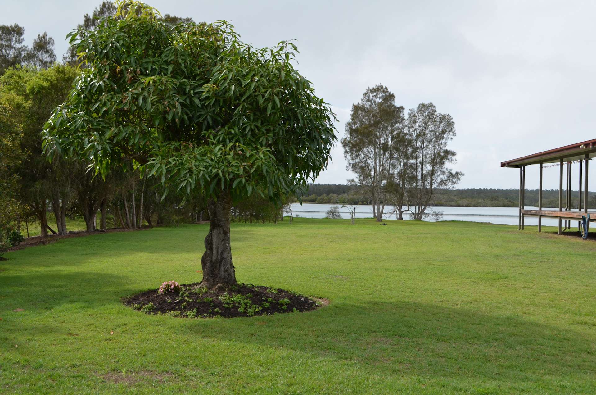 Near and Far Yamba Hipcamp in Micalo Island, New South Wales