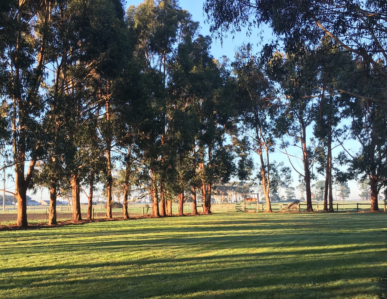 Hampton Park Hipcamp in Winslow, Victoria