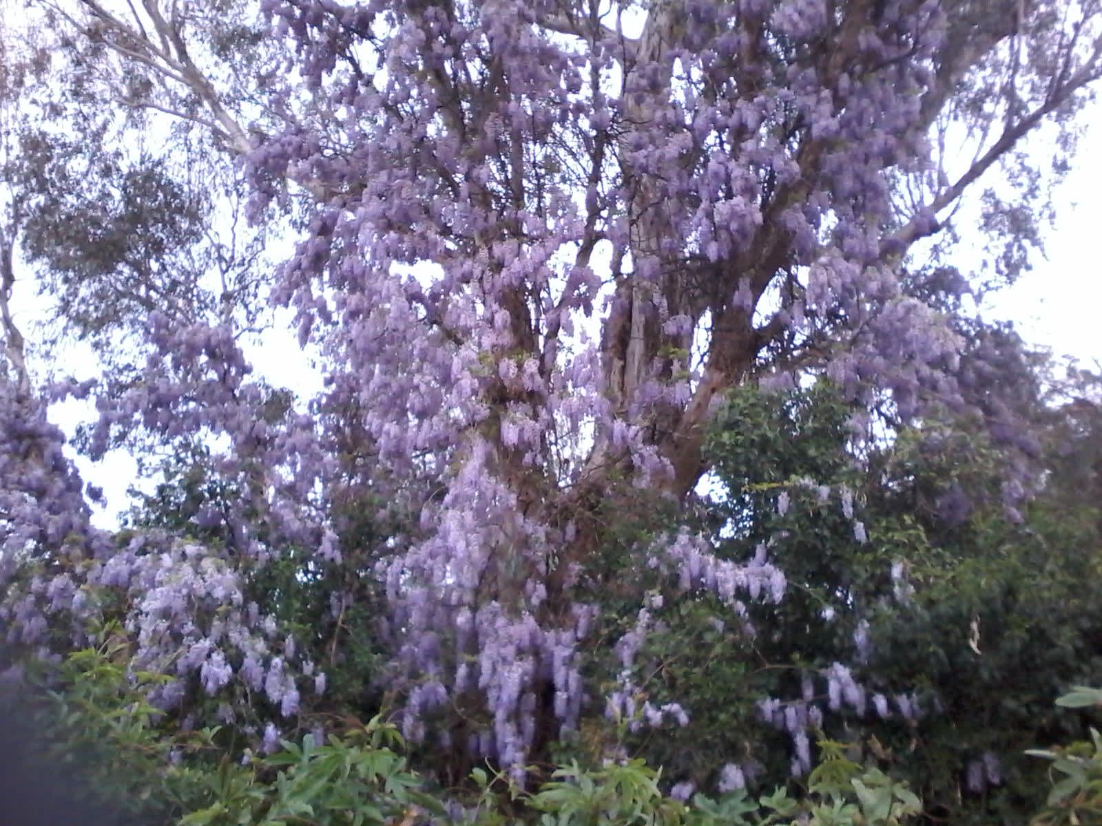 Aintree Farm Organics. Hipcamp in , Victoria