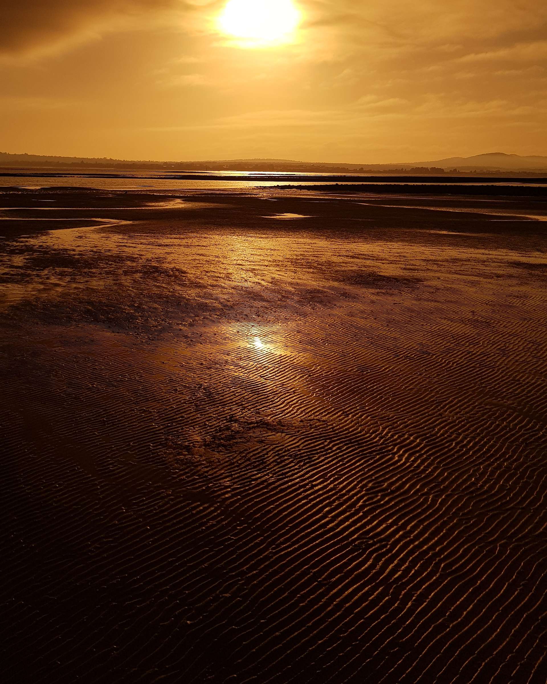 Zero Hoof Print Tasmania Hipcamp in Kelso, Tasmania