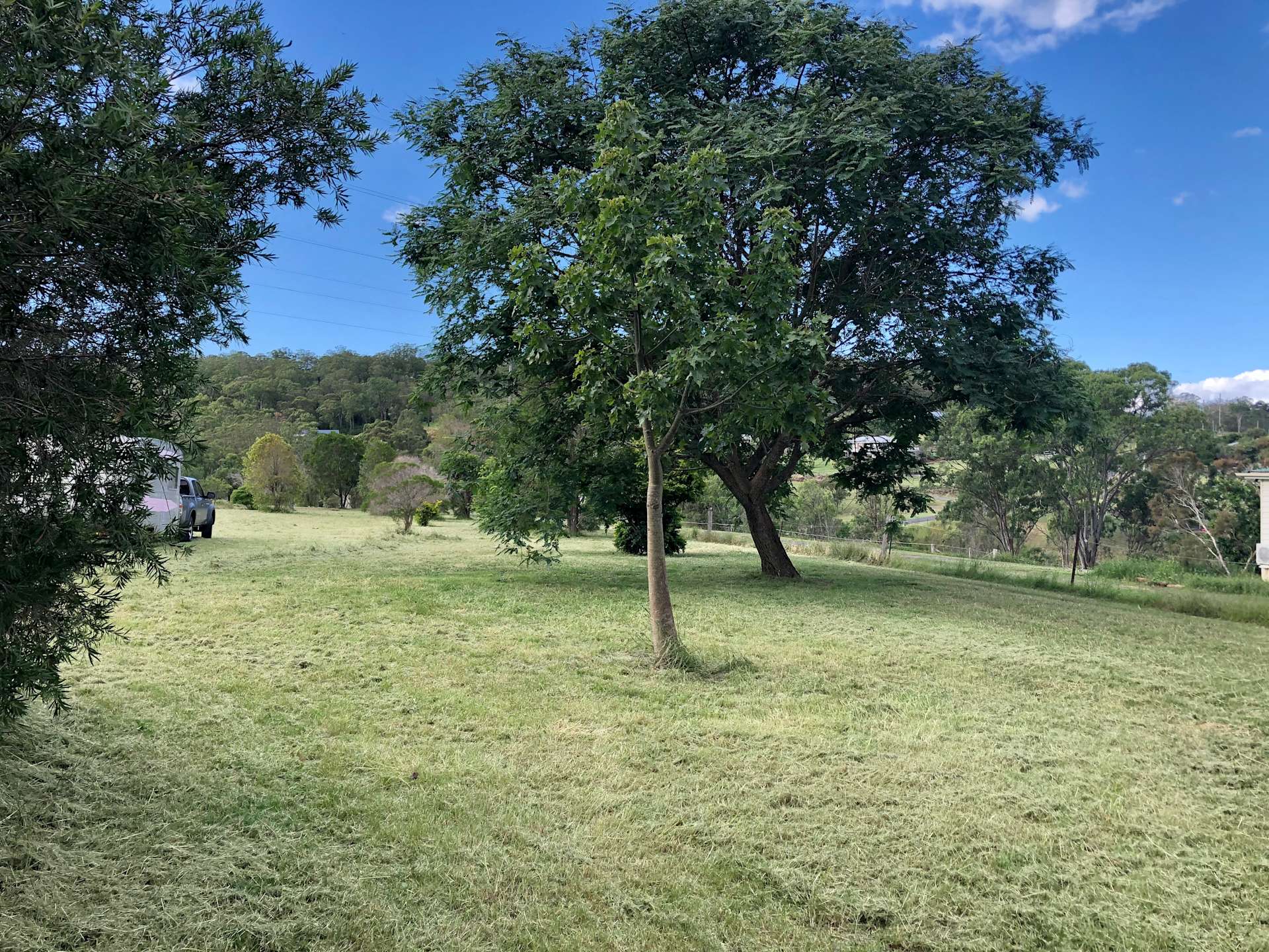 Rascals at Mount Rascals Hipcamp in Mount Rascal, Queensland