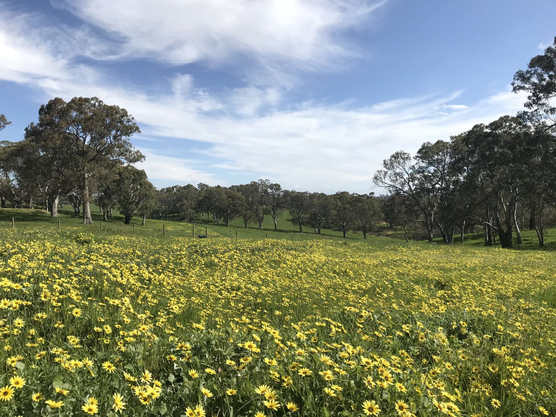 hay-valley-farm-hipcamp-in-hay-valley-south-australia