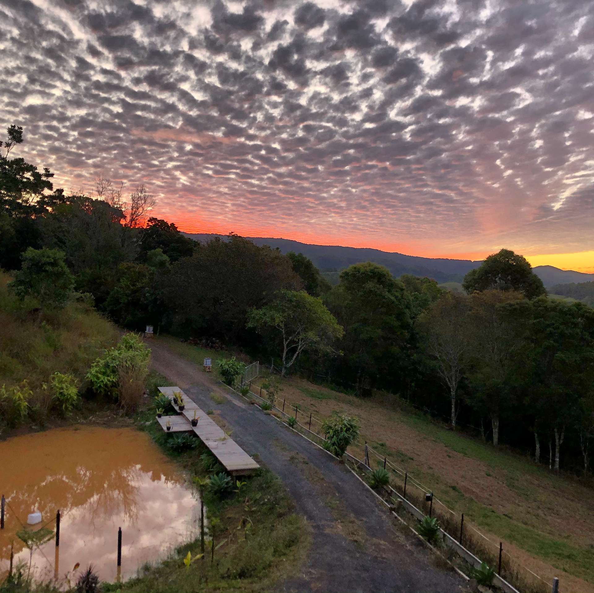 Moffat Valley Farm - Hipcamp in Kin Kin, Queensland