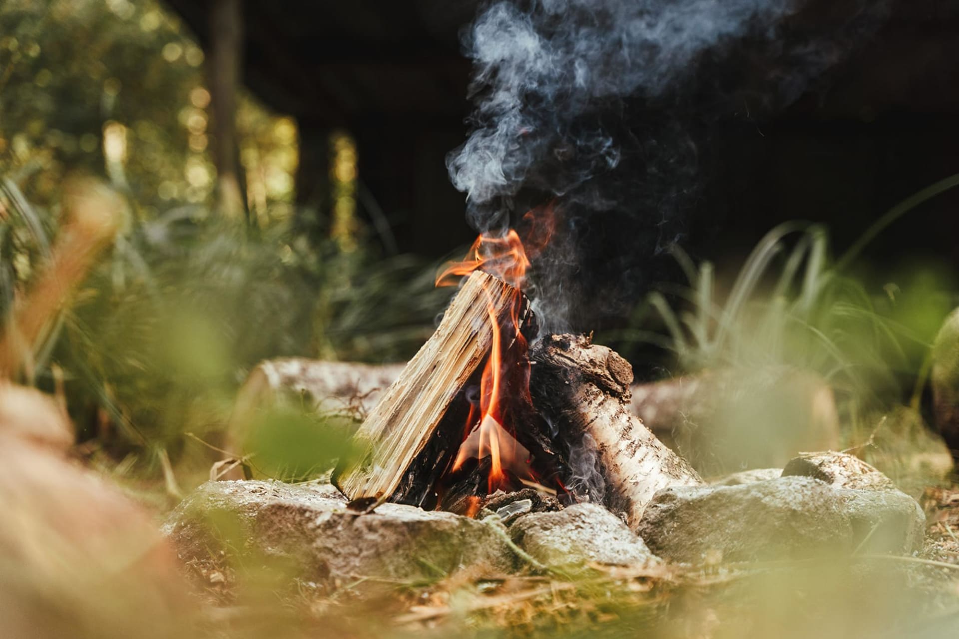 Campfire classics