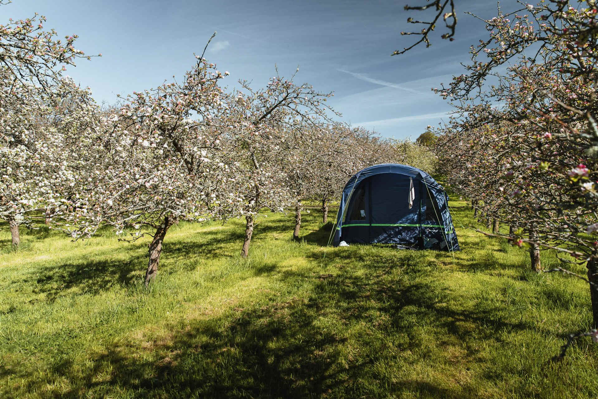 Cider Farm Orchard Campsite - Photo 2