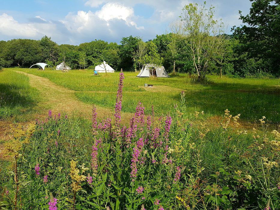 Cynefin Eco Camping