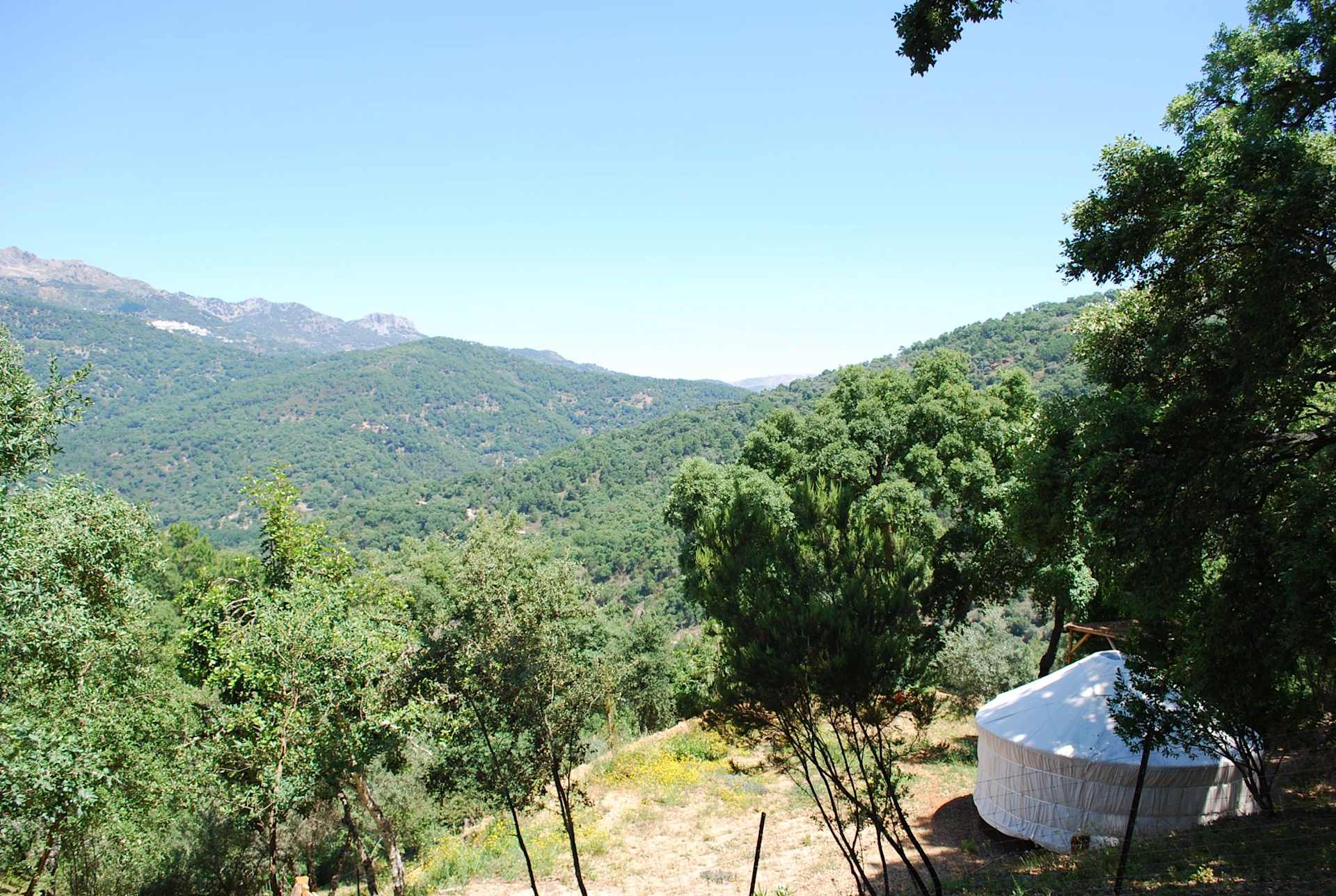 Cloud House Farm Glamping - Photo 3