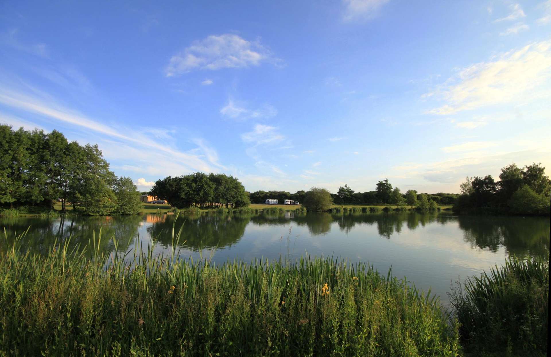 Brook Meadow