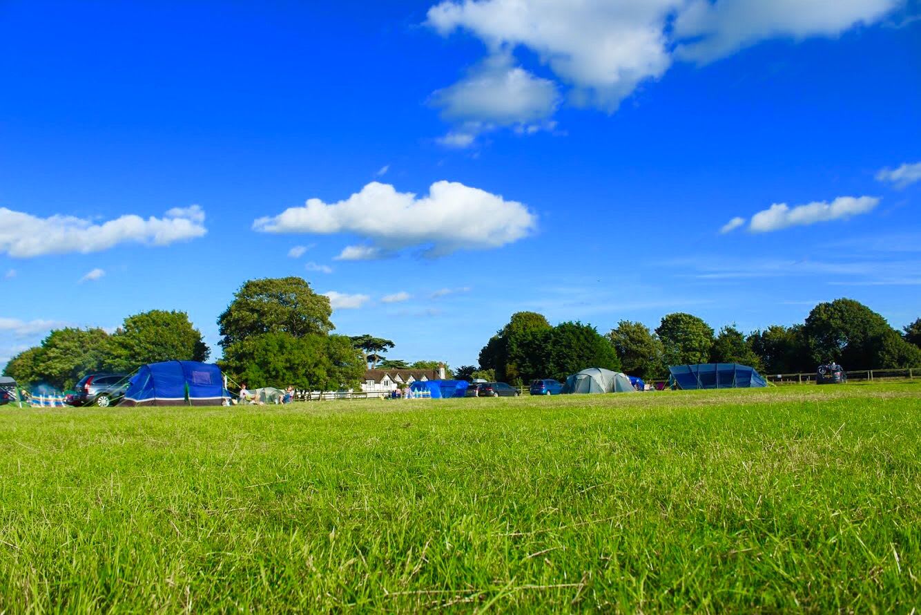 Muddycreek Farm (New Forest) - Photo 3