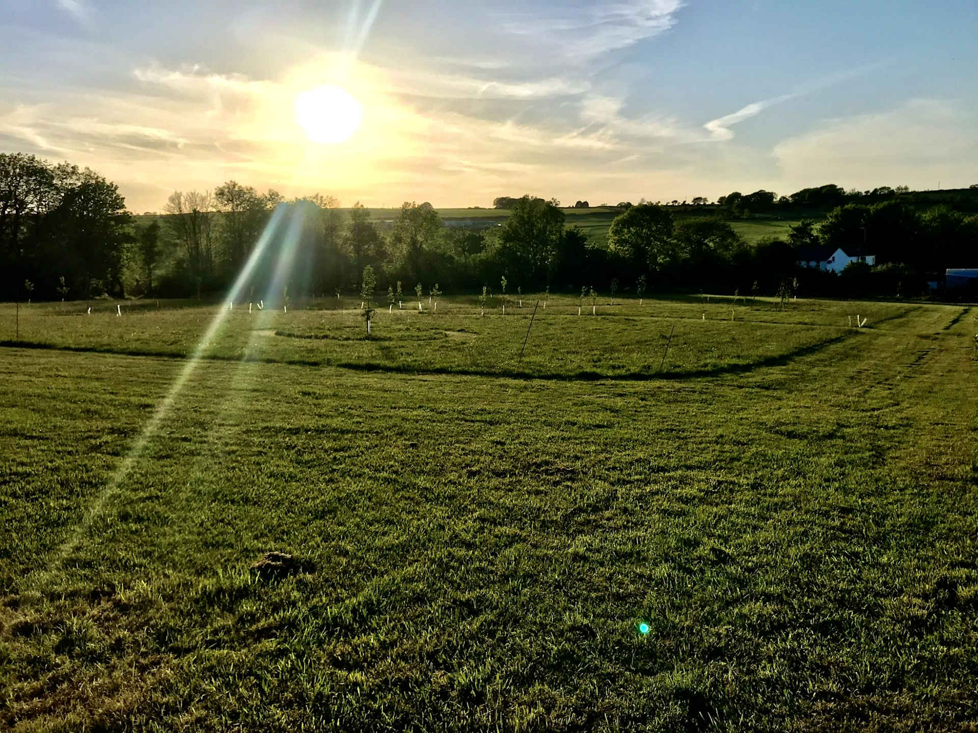 Wild Meadow Camping