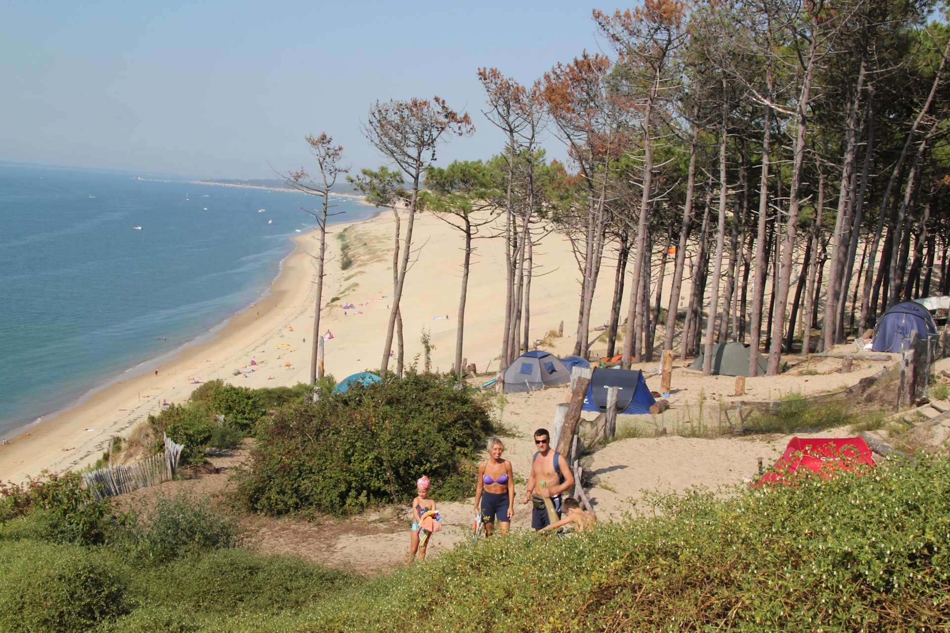 Panorama du Pyla - Hipcamp in Bassin D'arcachon, Nouvelle-Aquitaine