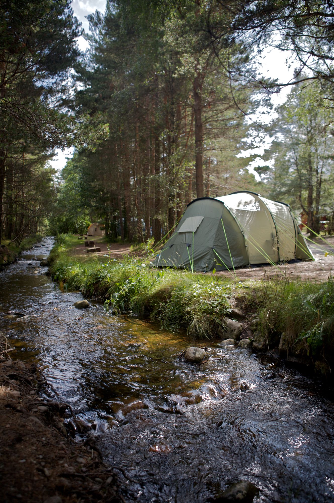 Rothiemurchus - Hipcamp in Inverness, Scotland