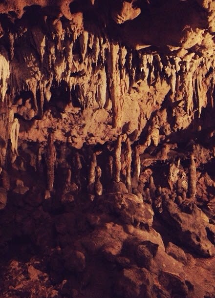 Florida Caverns State Park