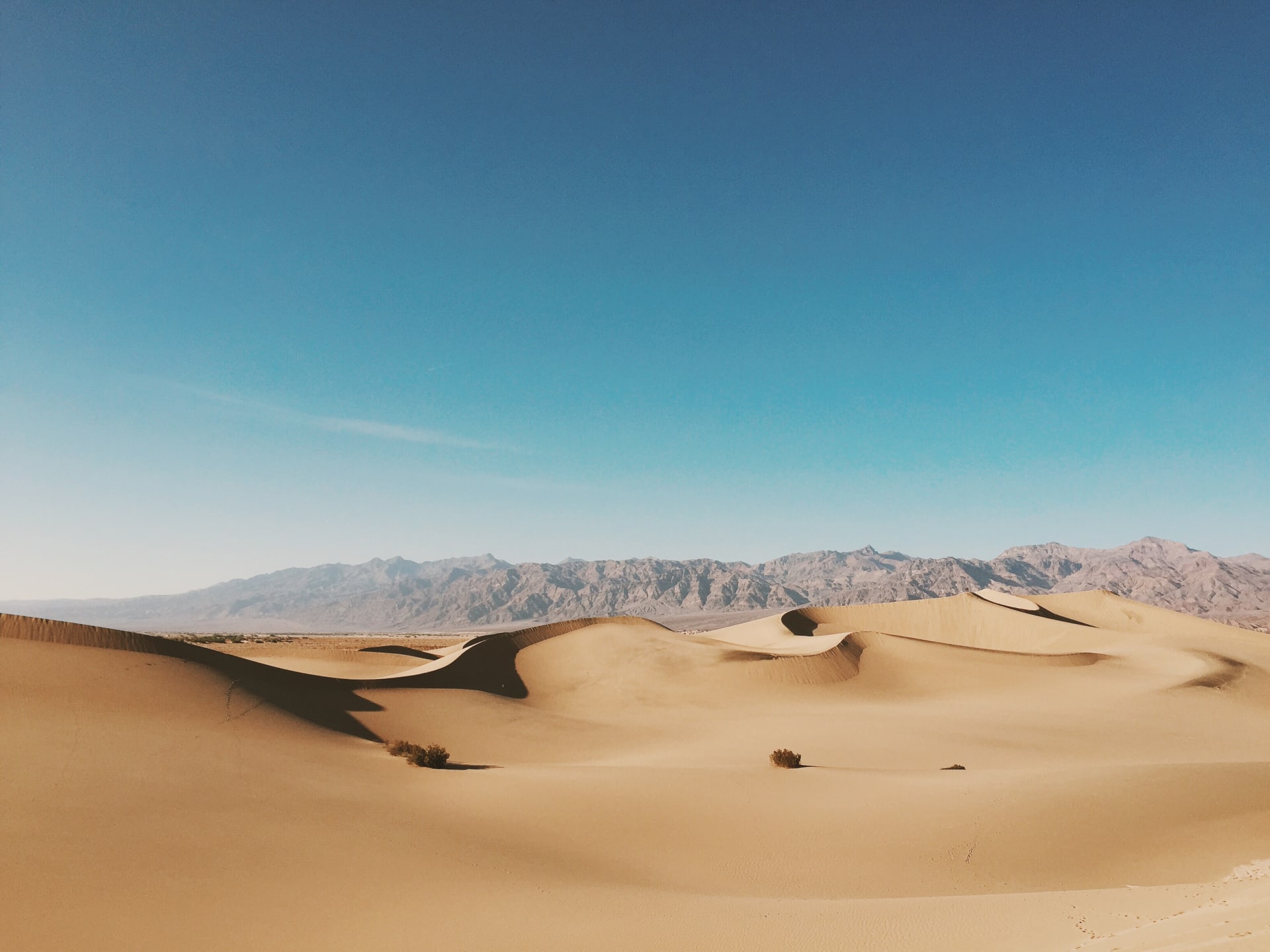 The Mesquite Flat Sand Dunes, located right in the centre of the Park!