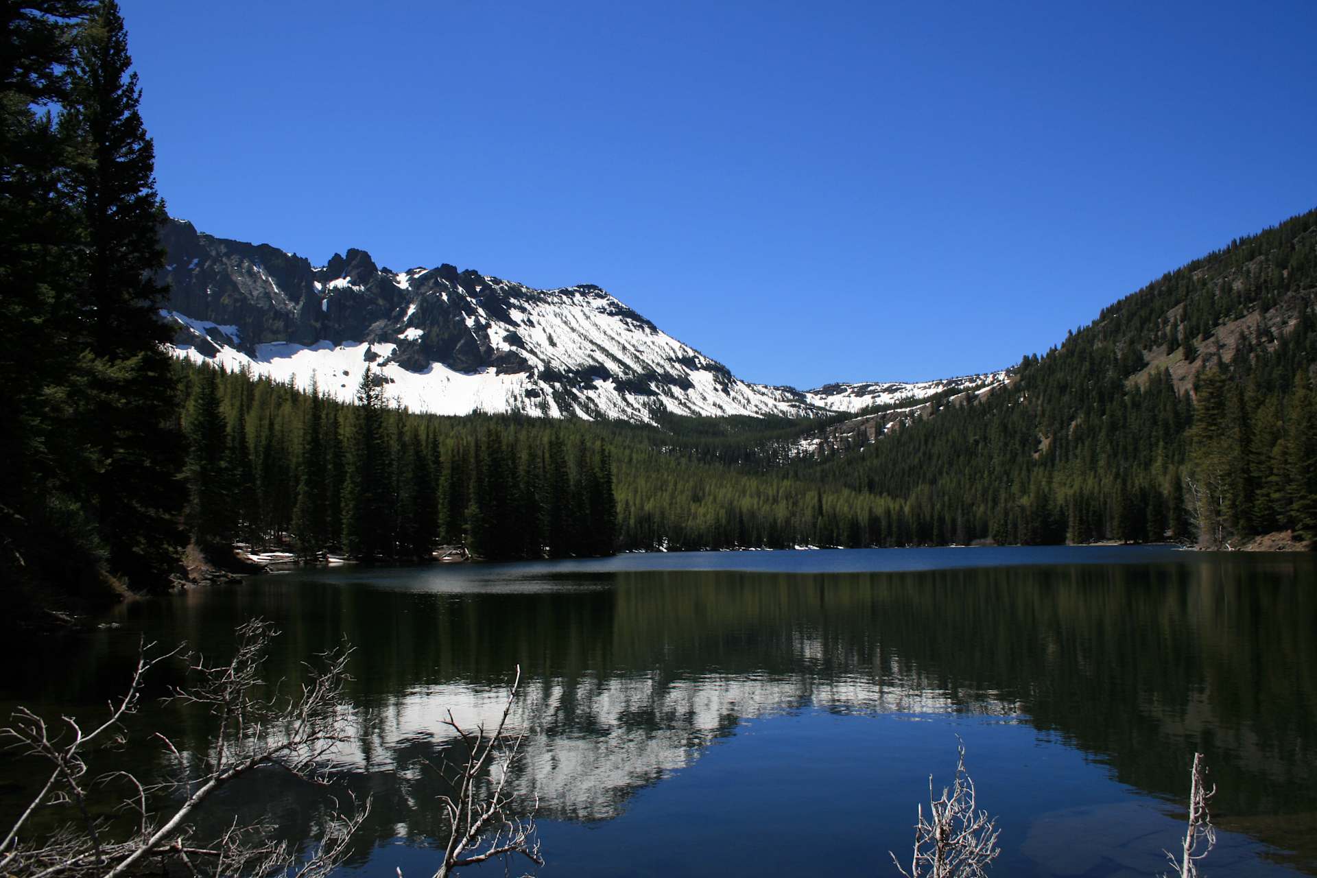Malheur National Forest