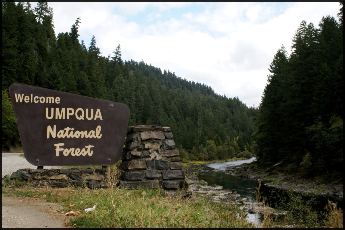 Umpqua National Forest