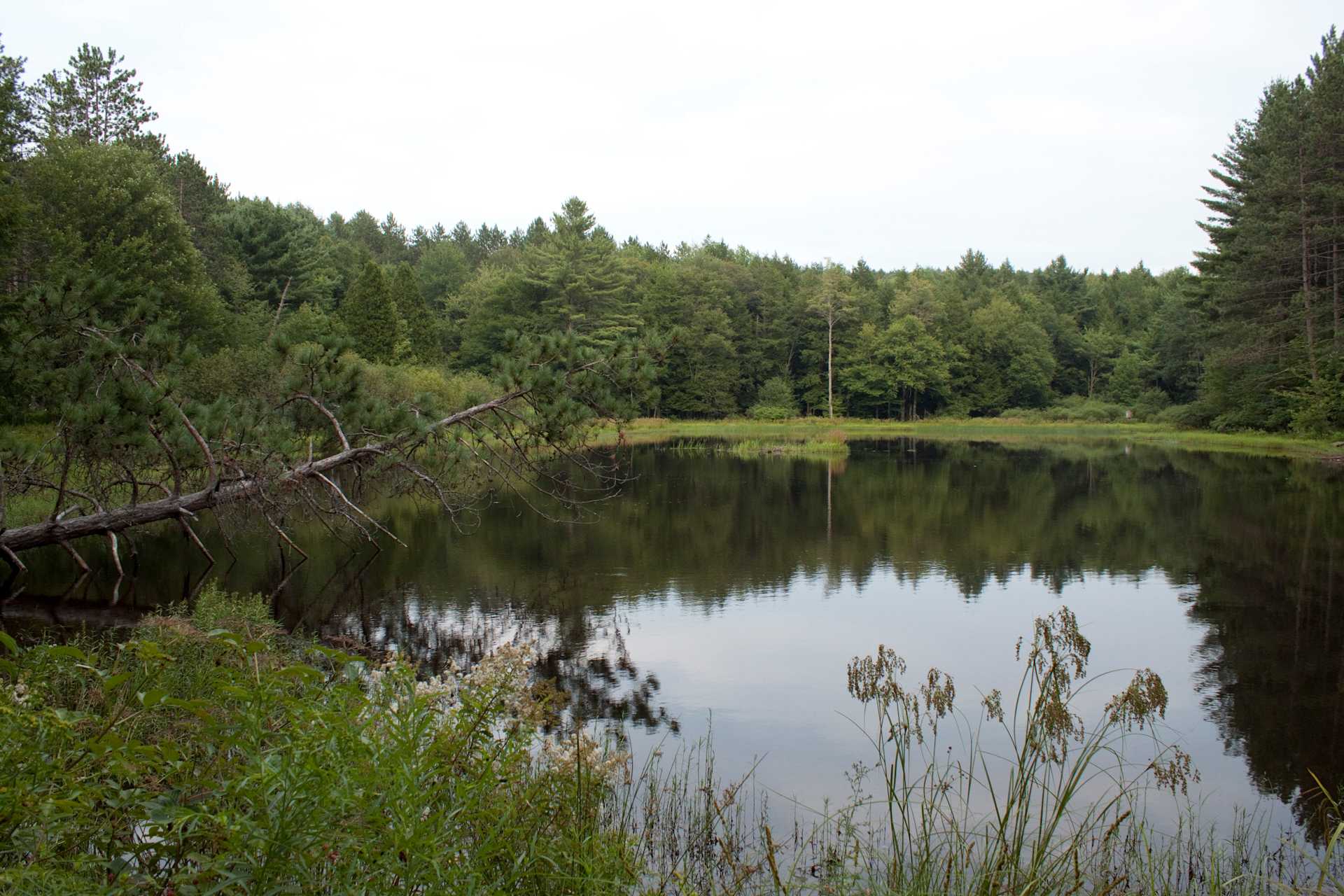 Gilbert Lake State Park