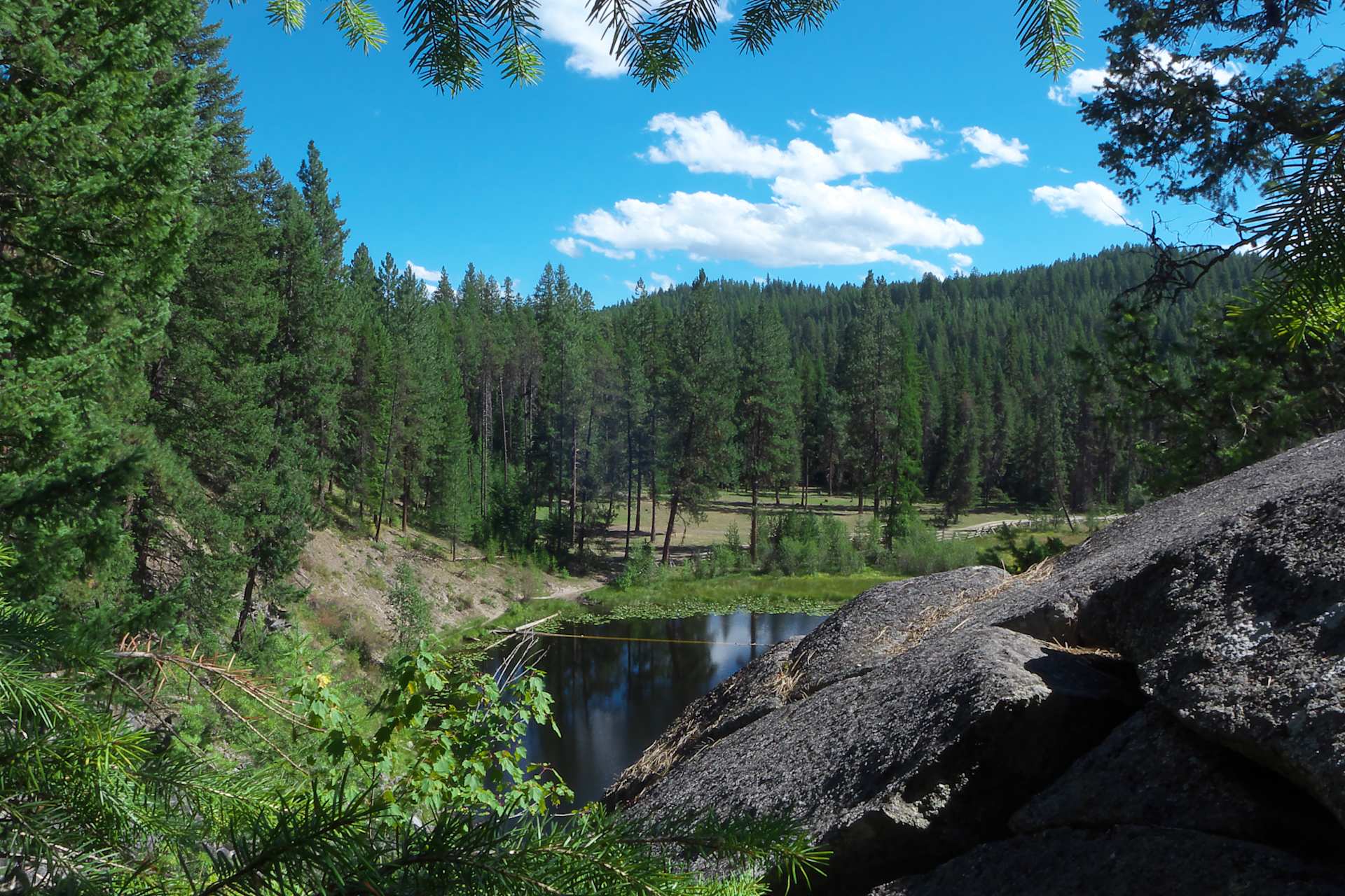 Colville National Forest
