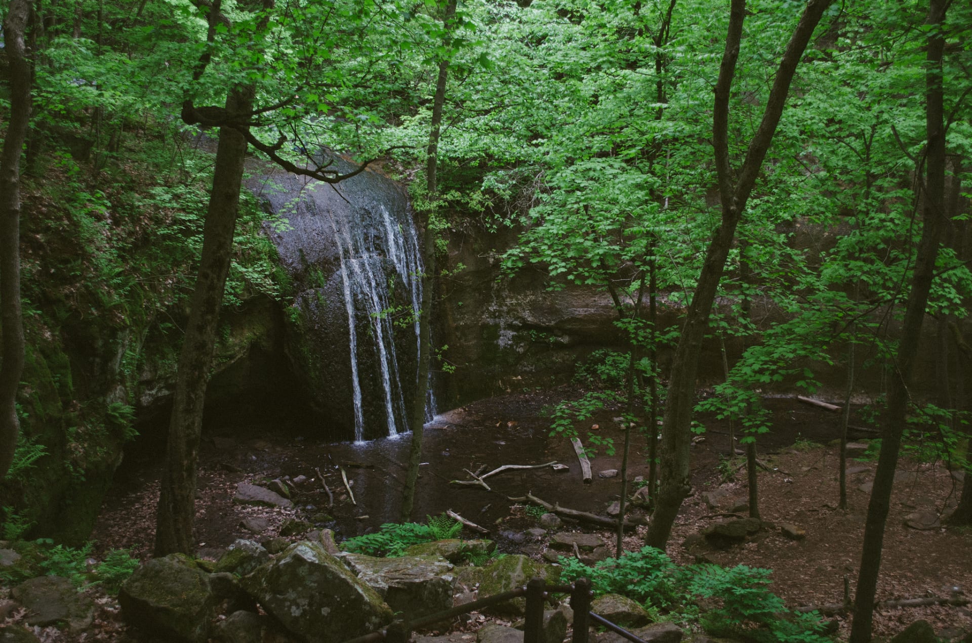 My favorite trail at Governor Dodge is the Lost Canyon Trail that starts with the decent to the gorgeous Stephen's Falls. My favorite time of year to go is around Mid-May when the leaves are G R E E N and the bugs are minimal.