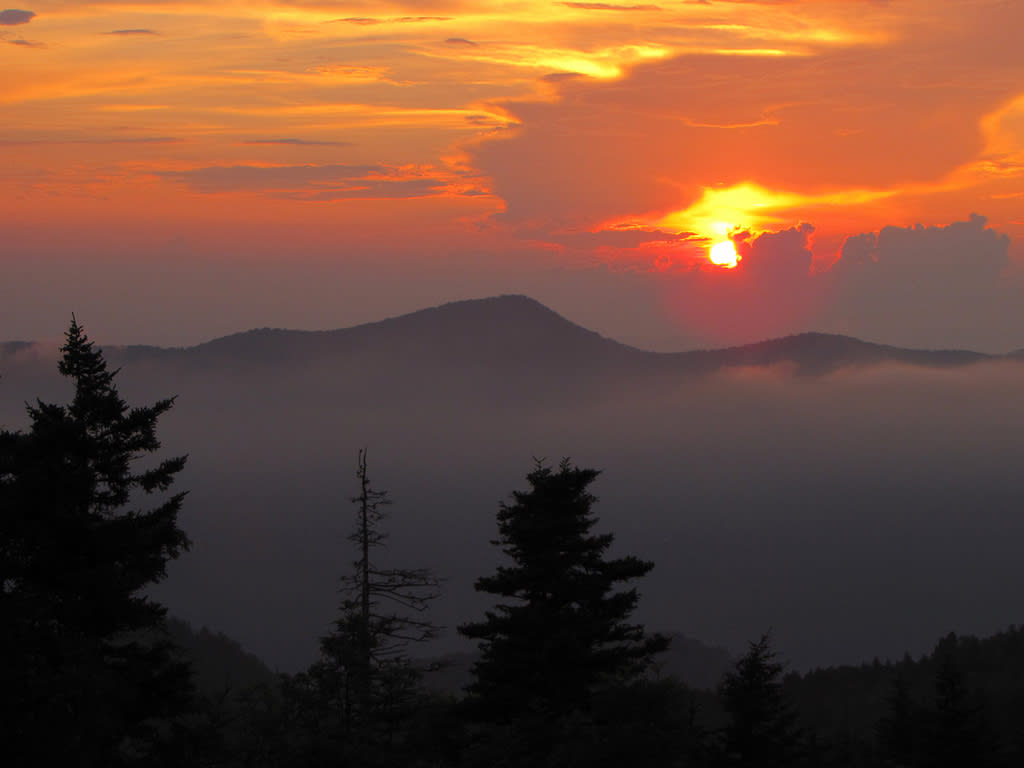 Mount Mitchell State Park