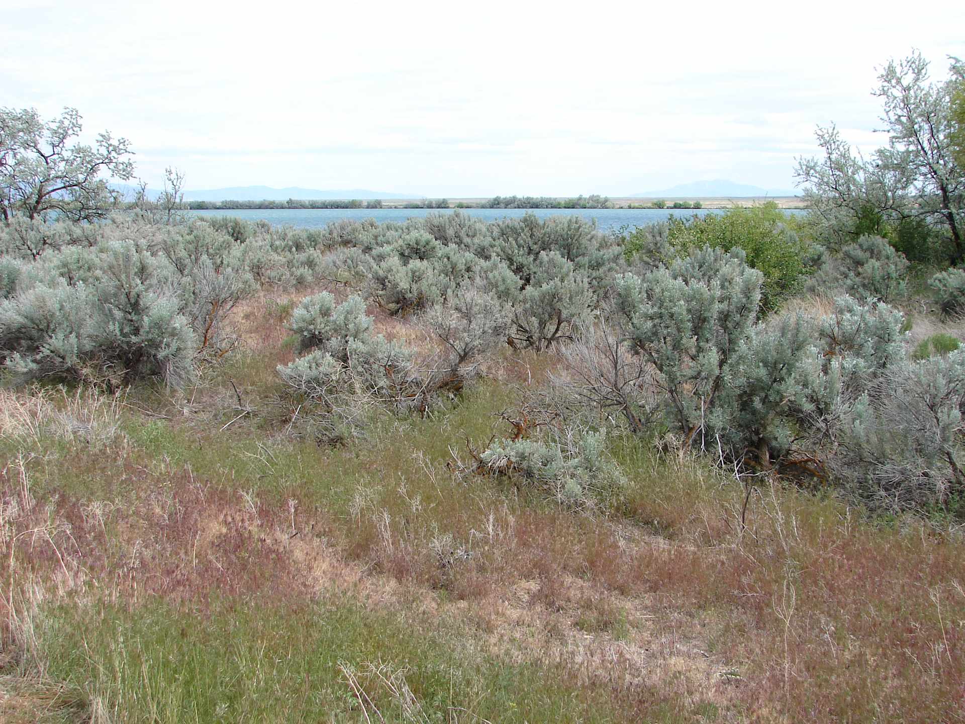 Lake Walcott State Park