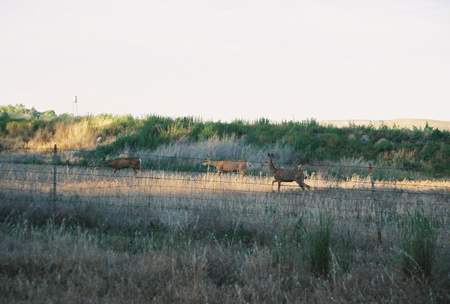 Three Island Crossing State Park
