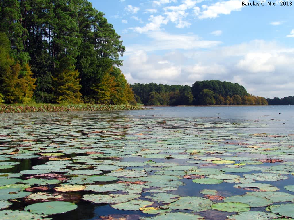 North Toledo Bend State Park
