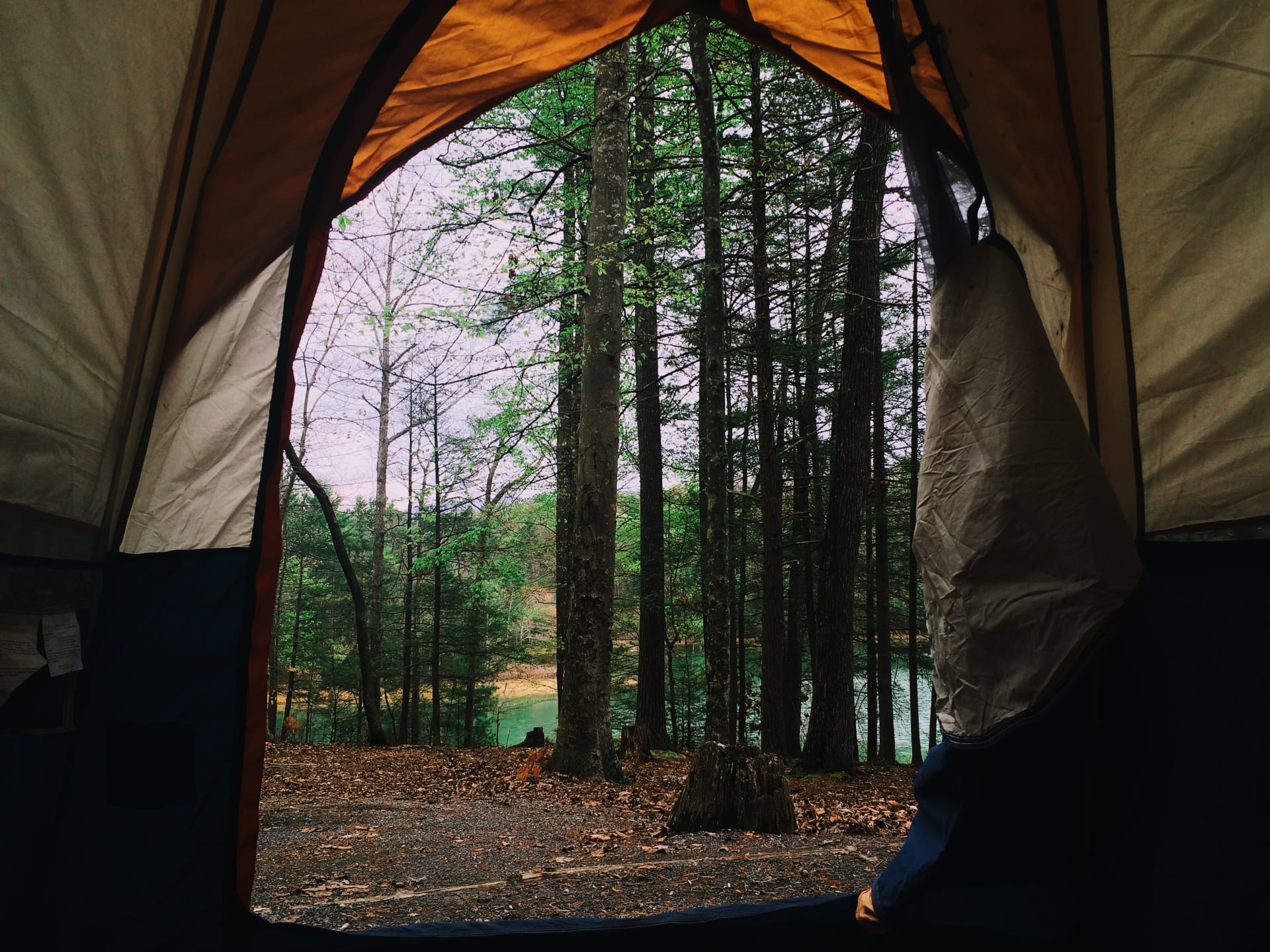 Tent with a view! 