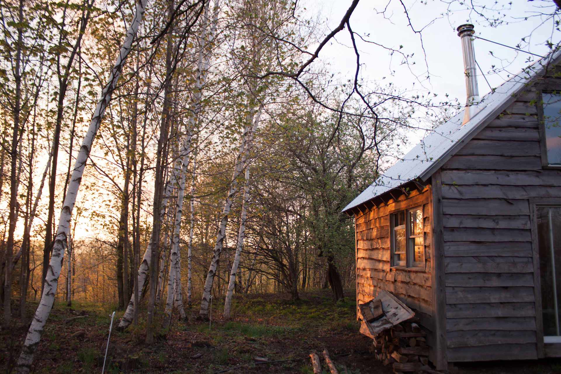 The cabin is set on a knoll, surrounded by trees