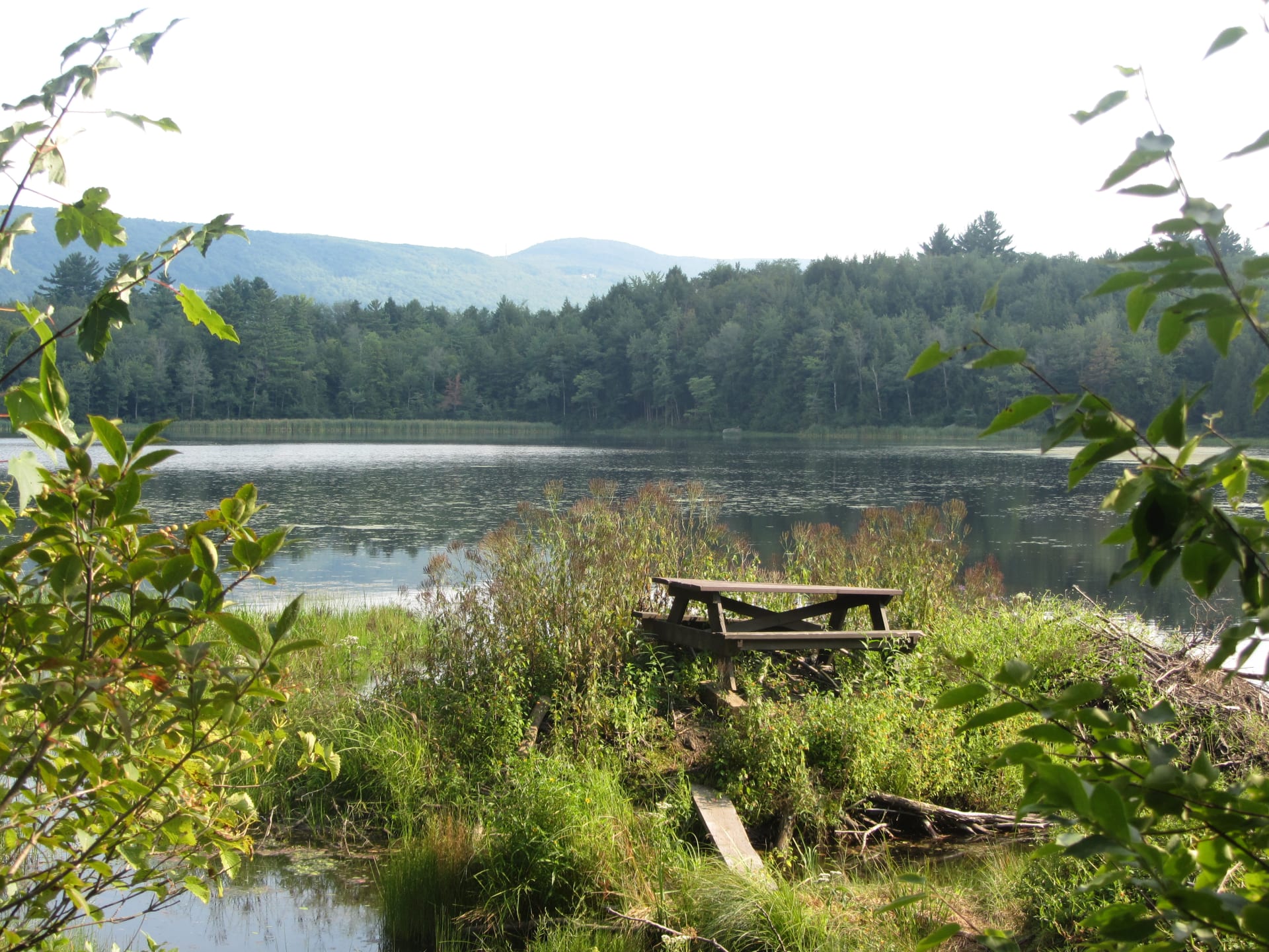 View of Mauserts Pond from the Pond Loop Trail