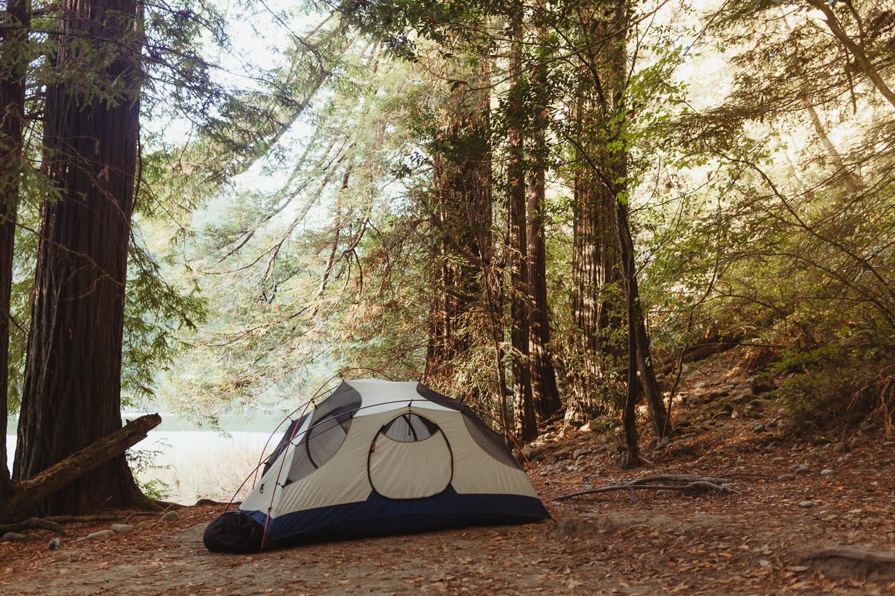 The best campsite among giant Redwoods and close to the river. 
