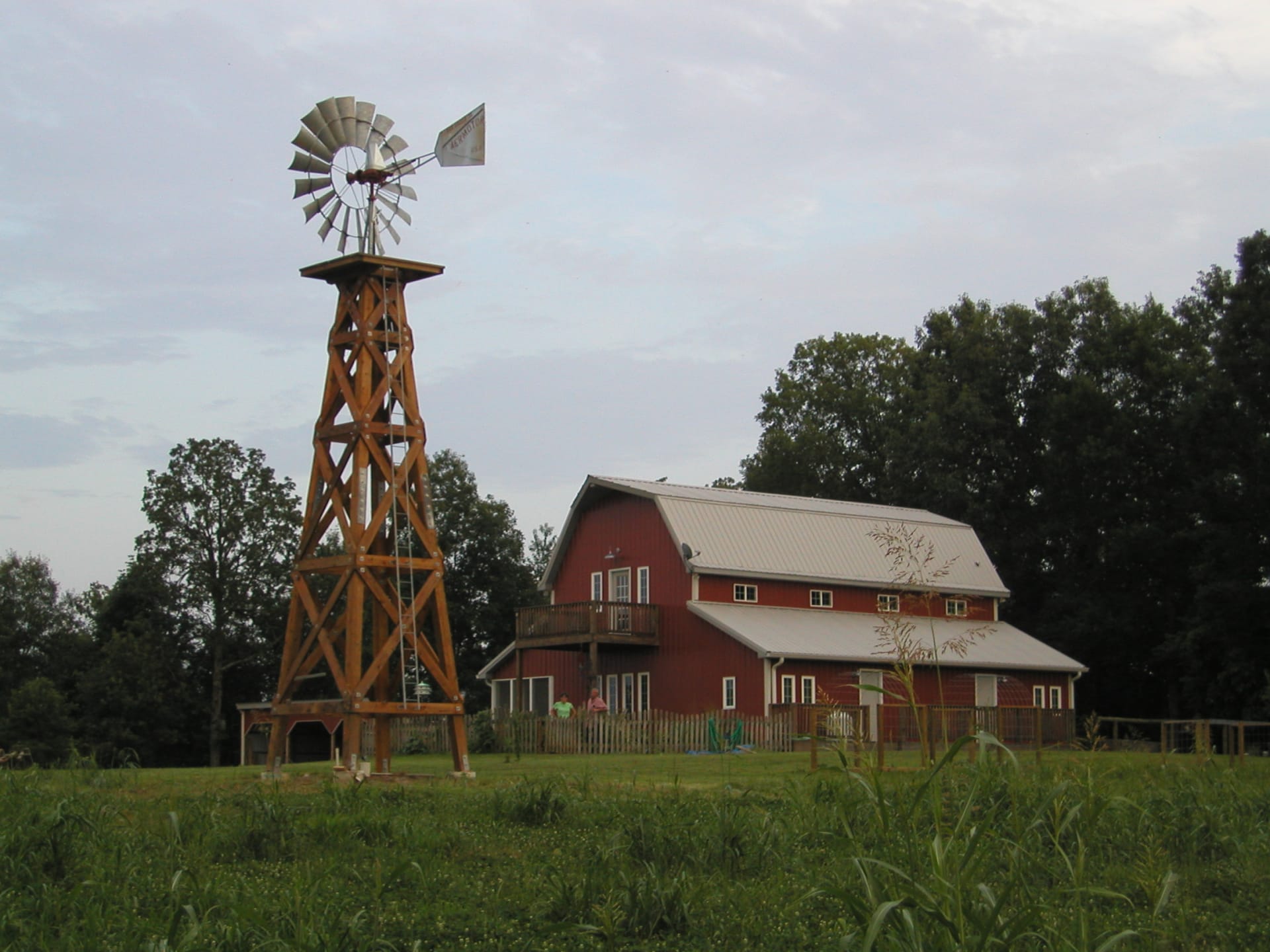 Barn and the windmill in August