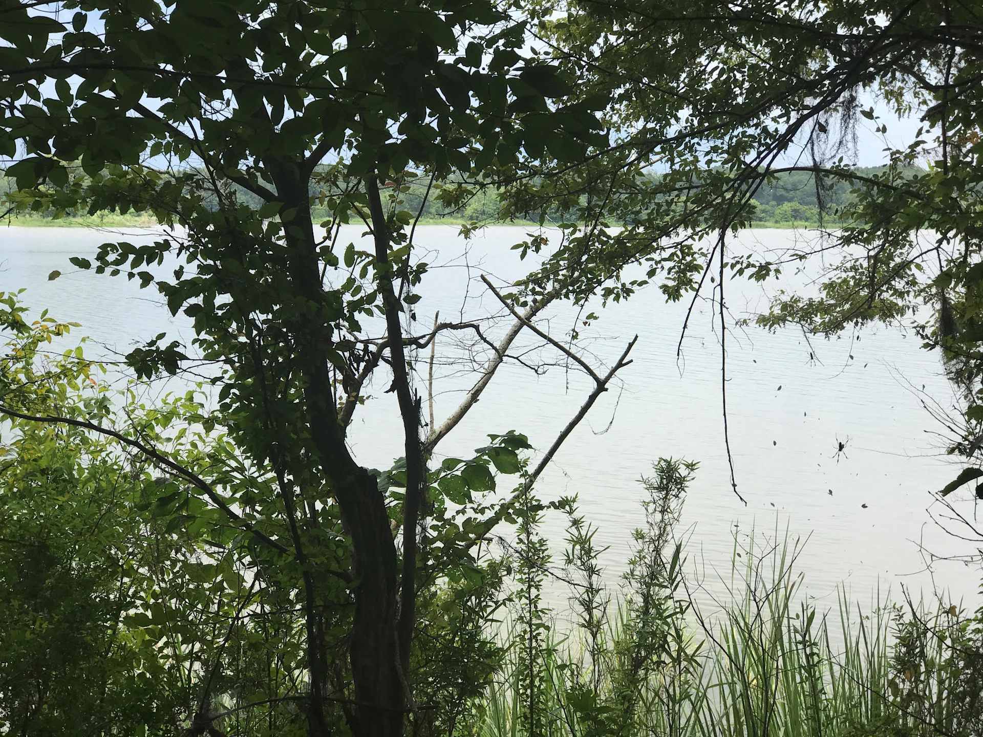 Picture of the Land