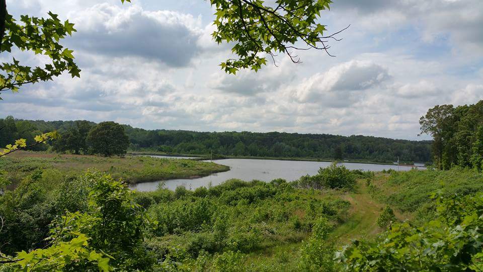 Camp Carroll - Hipcamp in Huntingdon , Tennessee