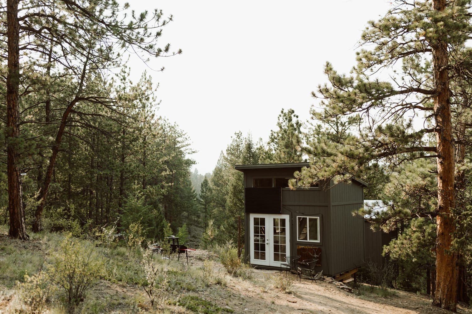 The cabin is tucked away in the pine trees