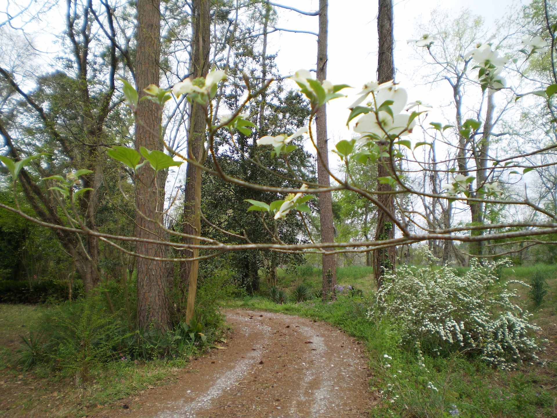 Picture of the Land