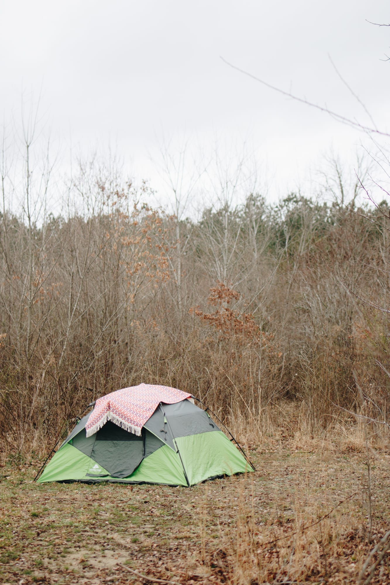 We set up camp in a private space surrounded by brush and trees. 