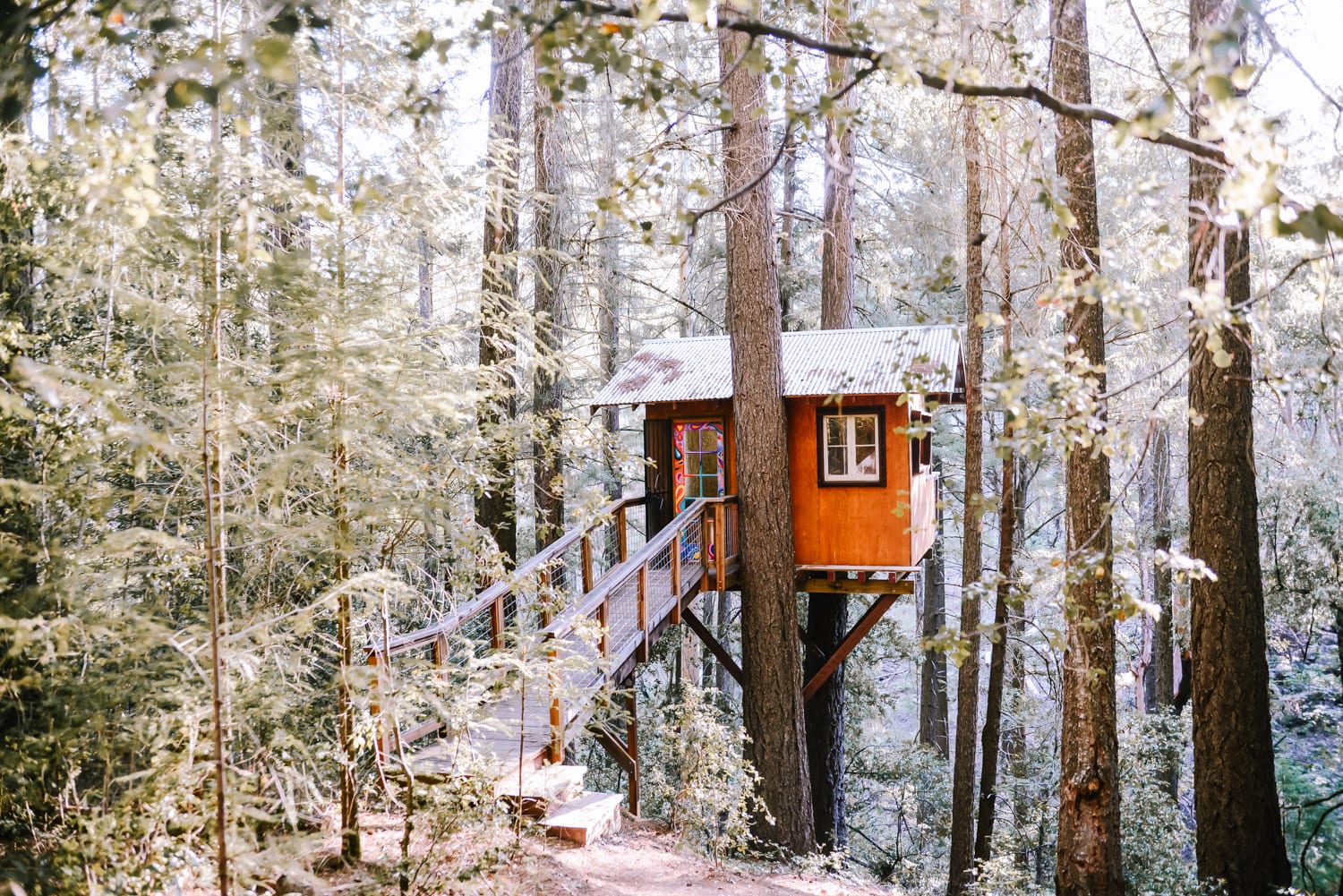 The beautiful treehouse upon arrival