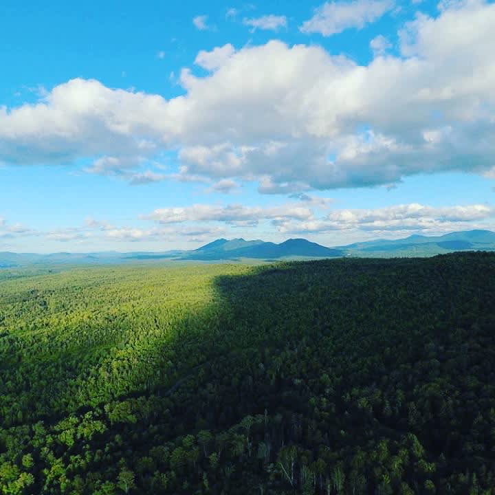 Picture of the Land