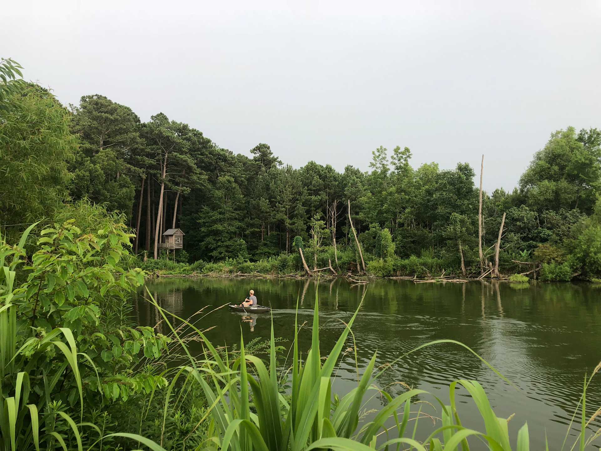 Rock Hill Campsite