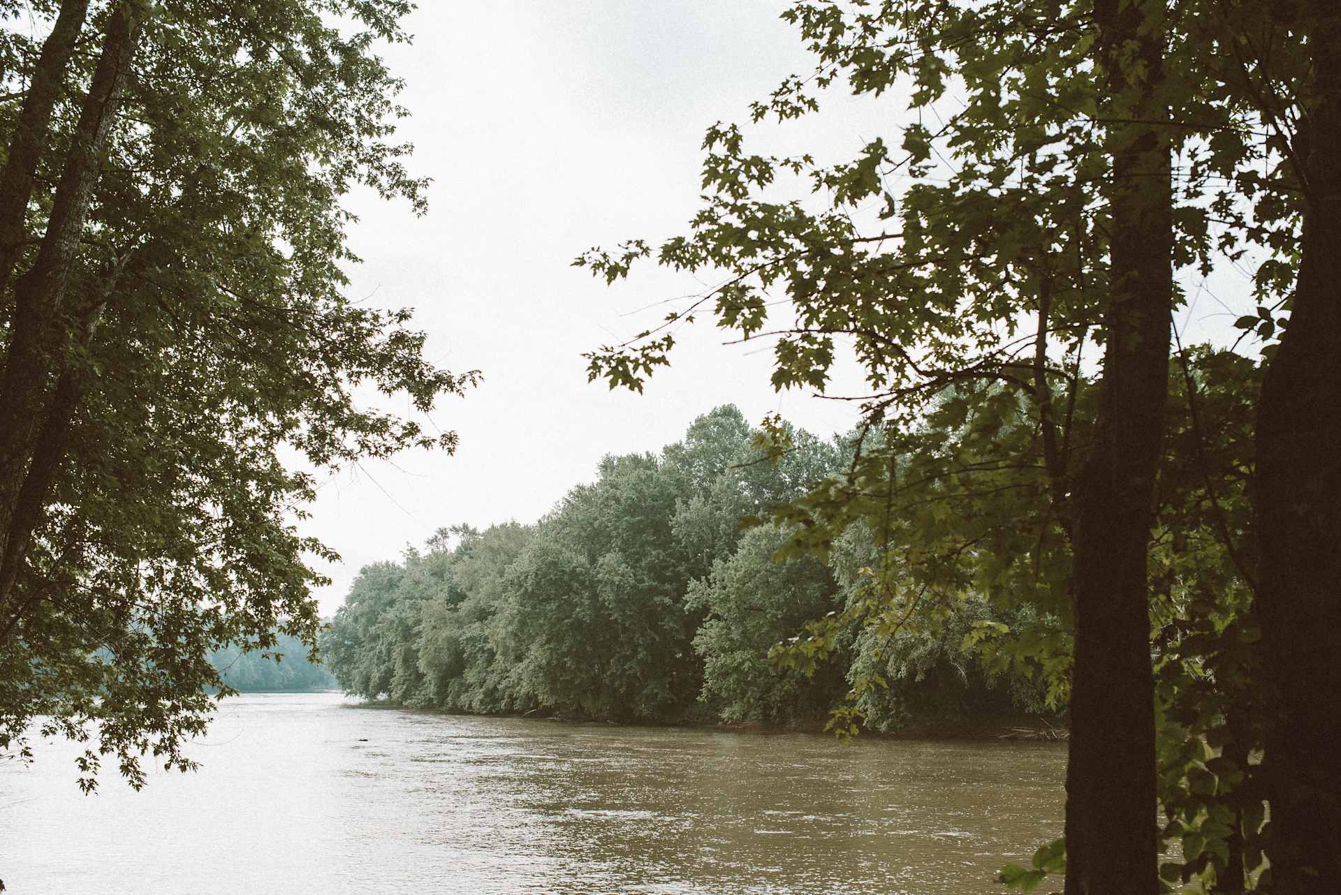 Views of the river from my site!